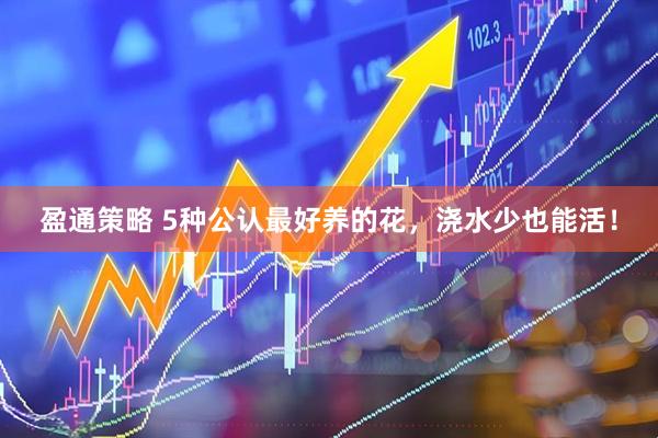 盈通策略 5种公认最好养的花，浇水少也能活！