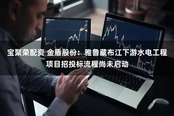 宝聚荣配资 金盾股份：雅鲁藏布江下游水电工程项目招投标流程尚未启动